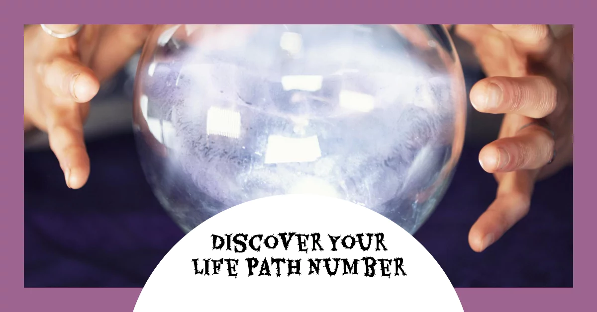 discover-your-life-path-number