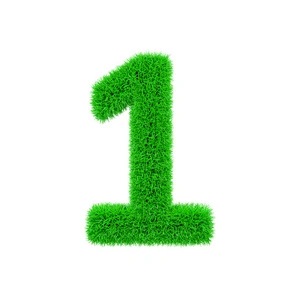 life-path-number-1 life-path-number-1