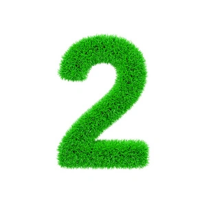 life-path-number-2 life-path-number-2