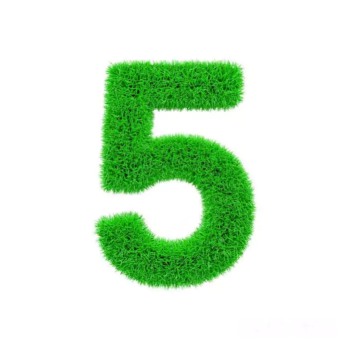 life-path-number-5 life-path-number-5