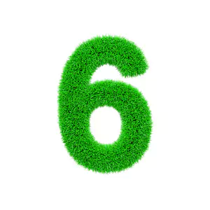 life-path-number-6 life-path-number-6