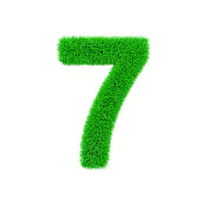 life-path-number-7 life-path-number-7